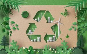  thùng carton tái chế